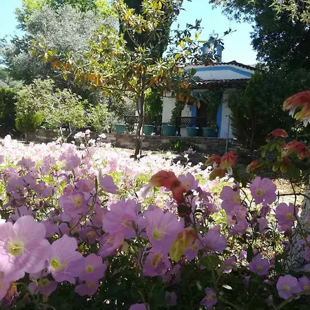 Almira Kalamos Villa Exterior photo